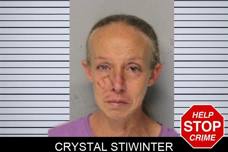 Crystal Stiwinter mugshot – Hall County , Georgia Crystal Stiwinter mugshot