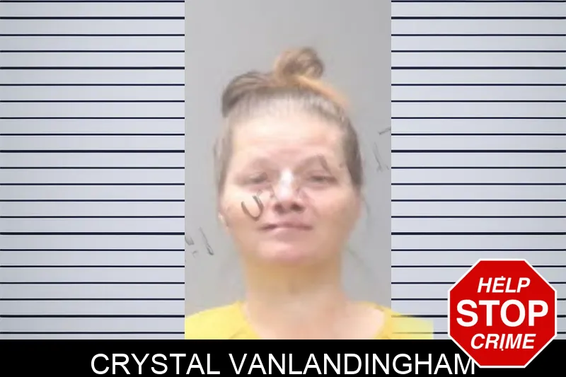 Crystal Vanlandingham mugshot