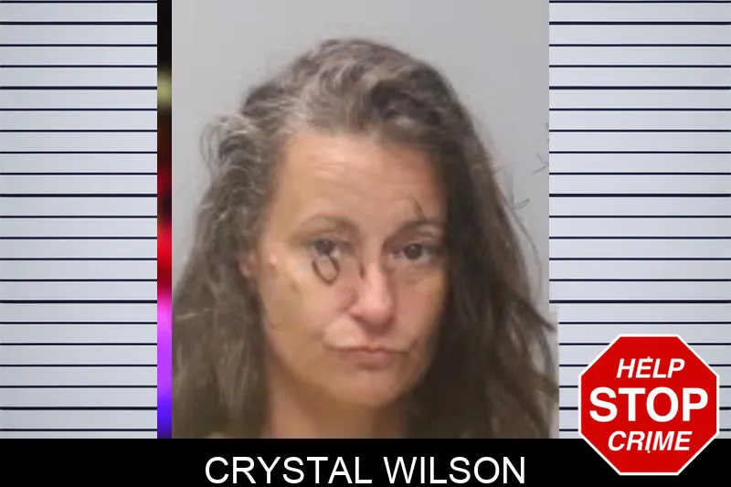 Crystal Wilson mugshot