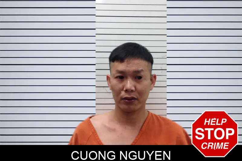 Cuong Nguyen mugshot – Pickens County , Georgia Cuong Nguyen mugshot