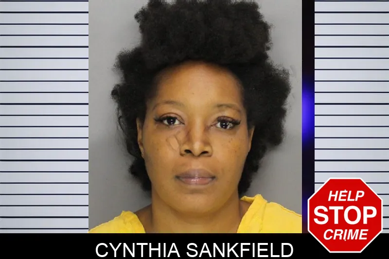 Cynthia Sankfield mugshot – Cobb County , Georgia Cynthia Sankfield mugshot
