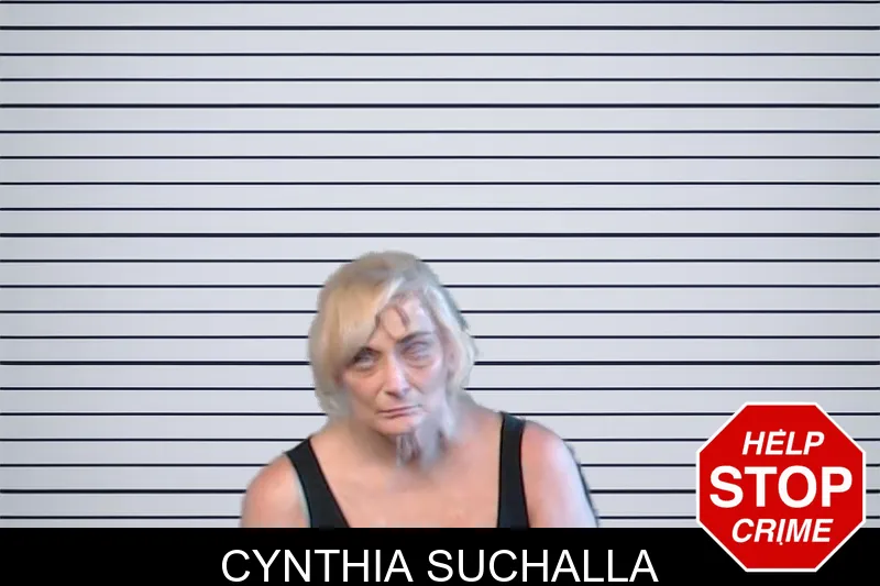 Cynthia Suchalla mugshot – DeKalb County , Georgia Cynthia Suchalla mugshot