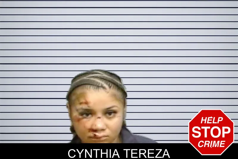 Cynthia Tereza mugshot – Fulton County , Georgia Cynthia Tereza mugshot