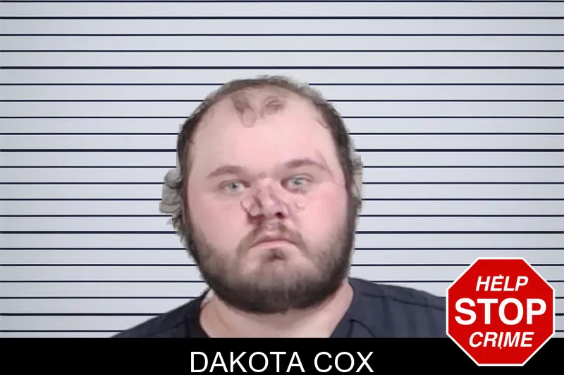 Dakota Cox mugshot