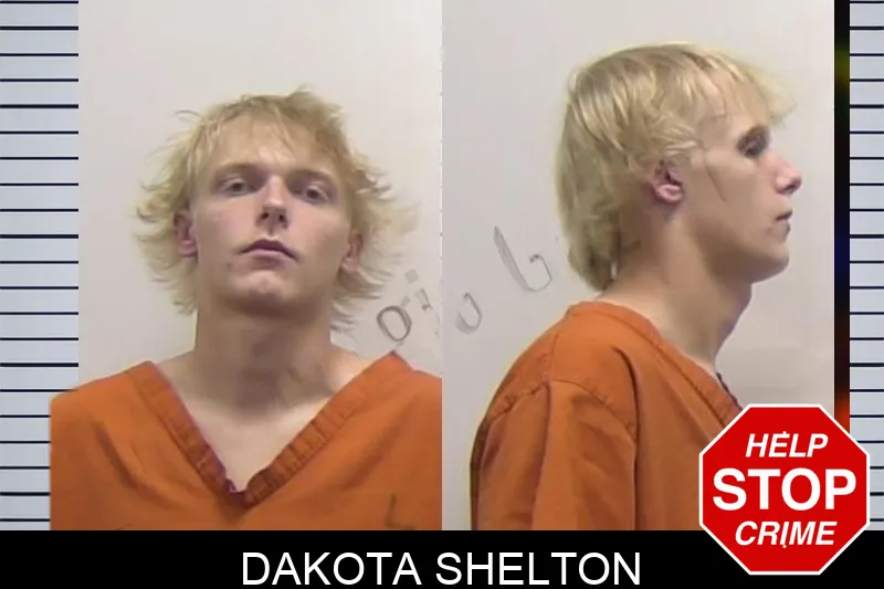 Dakota Shelton mugshot