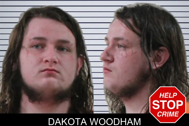 Dakota Woodham mugshot – Houston County , Georgia Dakota Woodham mugshot