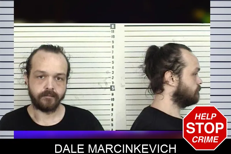 Dale Marcinkevich mugshot – Camden County , Georgia Dale Marcinkevich mugshot