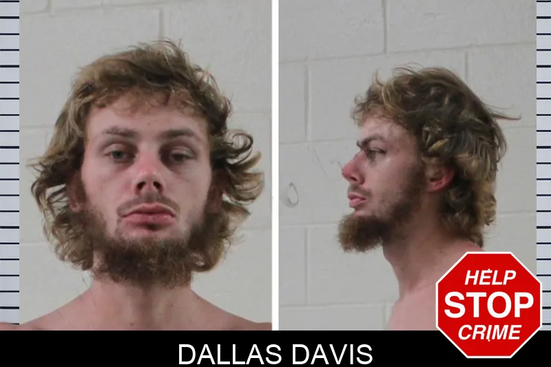 Dallas Davis mugshot – Houston County , Georgia Dallas Davis mugshot