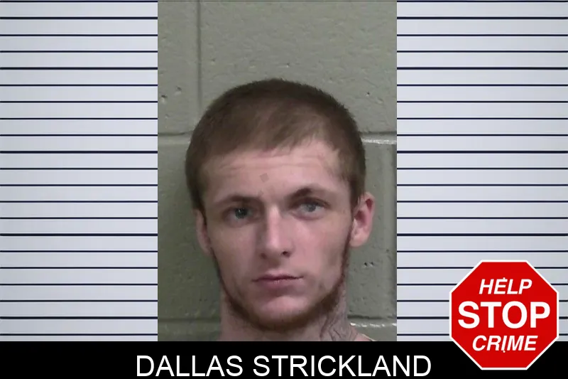 Dallas Strickland mugshot – Wayne County , Georgia Dallas Strickland mugshot