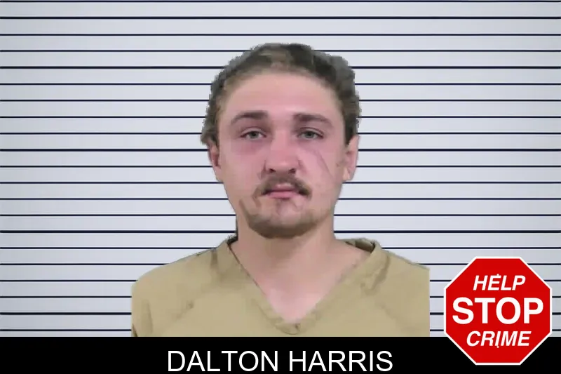 Dalton Harris mugshot – Gordon County , Georgia Dalton Harris mugshot