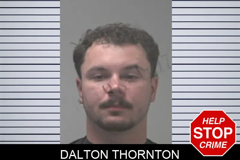 Dalton Thornton mugshot