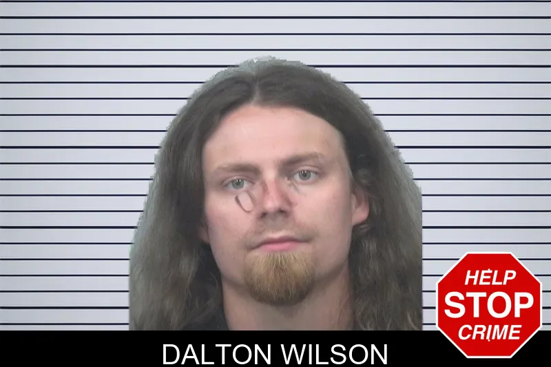 Dalton Wilson mugshot