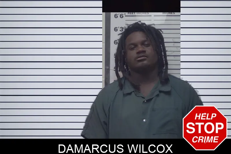 Damarcus Wilcox mugshot – Irwin County , Georgia Damarcus Wilcox mugshot