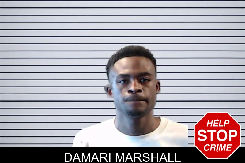 Damari Marshall mugshot – DeKalb County , Georgia Damari Marshall mugshot