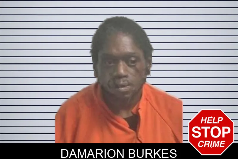 Damarion Burkes mugshot – Colquitt County , Georgia Damarion Burkes mugshot