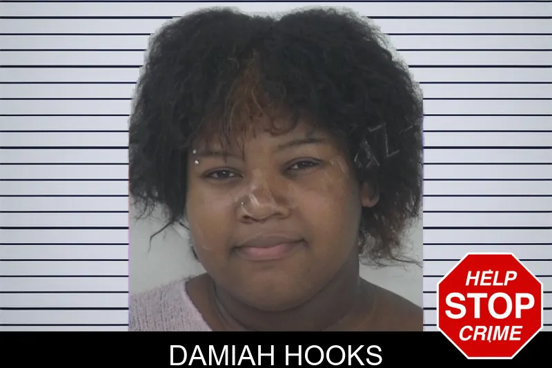 Damiah Hooks mugshot – Fayette County , Georgia Damiah Hooks mugshot