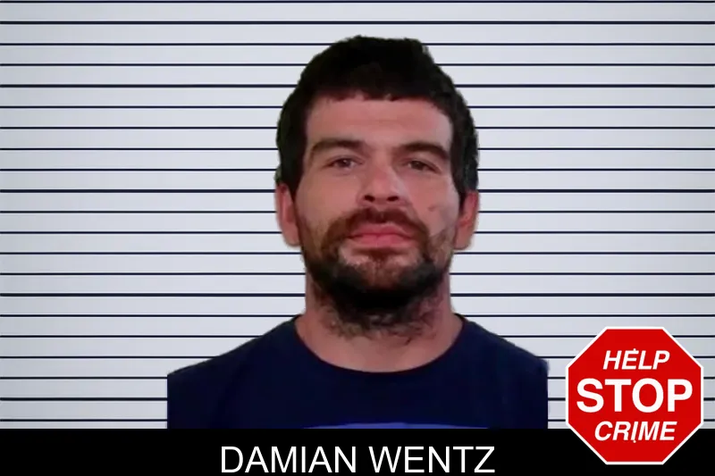 Damian Wentz mugshot