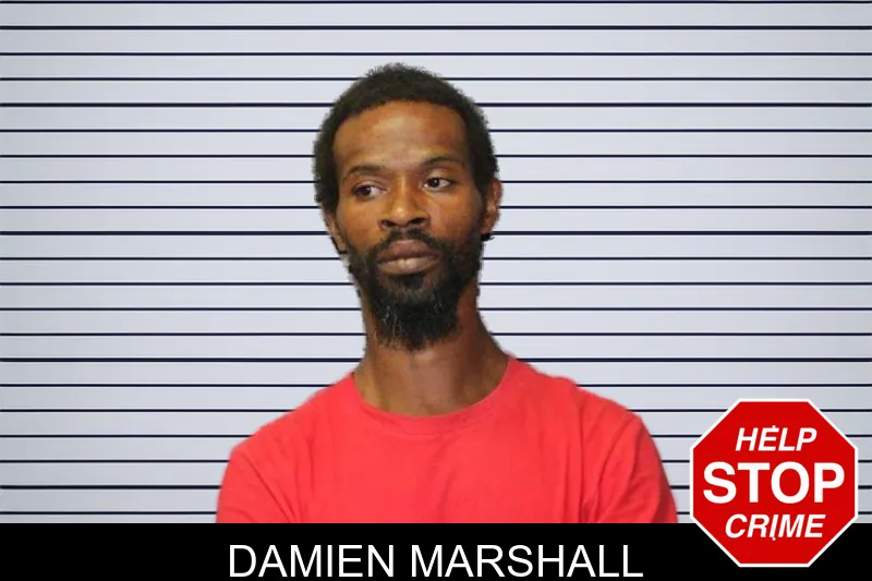 Damien Marshall mugshot – Thomas County , Georgia Damien Marshall mugshot