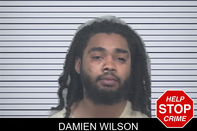 Damien Wilson mugshot
