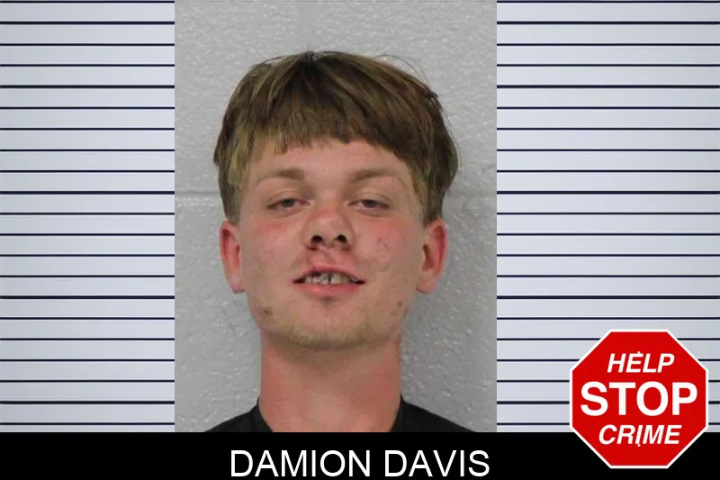 Damion Davis mugshot