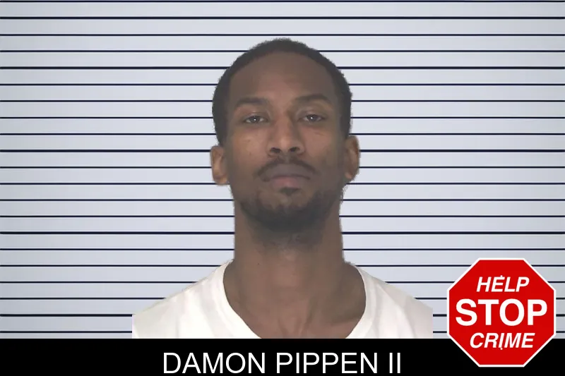 Damon Pippen II mugshot