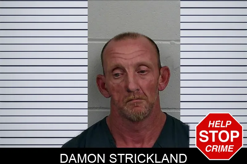 Damon Strickland mugshot