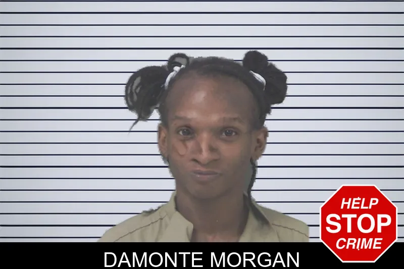 Damonte Morgan mugshot
