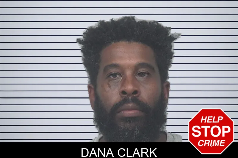 Dana Clark mugshot – Gwinnett County , Georgia Dana Clark mugshot