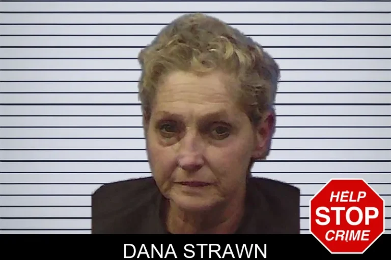Dana Strawn mugshot – Chattooga County , Georgia Dana Strawn