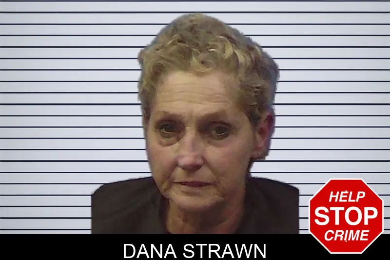 Dana Strawn mugshot – Chattooga County , Georgia Dana Strawn mugshot