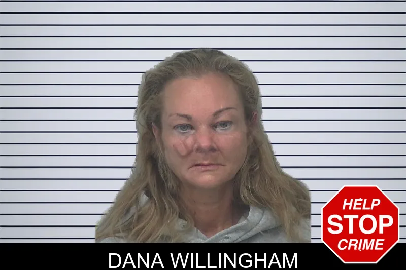 Dana Willingham mugshot