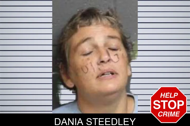 Dania Steedley mugshot – Bacon County , Georgia Dania Steedley mugshot