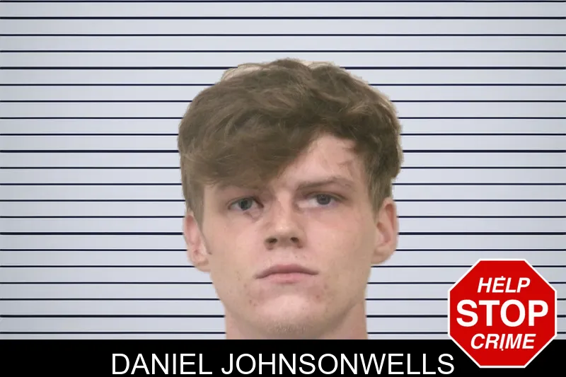 Daniel Johnsonwells mugshot