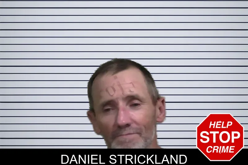 Daniel Strickland mugshot – Wayne County , Georgia Daniel Strickland mugshot