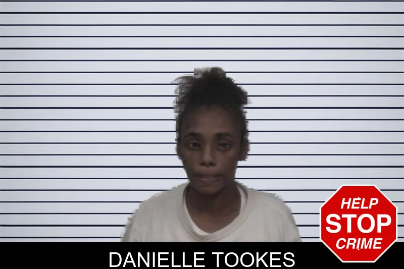 Danielle Tookes mugshot – Sumter County , Georgia Danielle Tookes mugshot