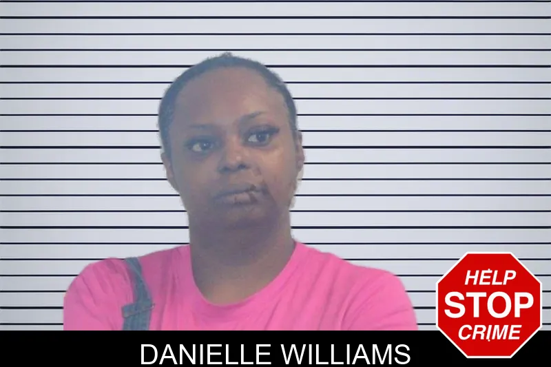 Danielle Williams mugshot – McDuffie County , Georgia Danielle Williams mugshot