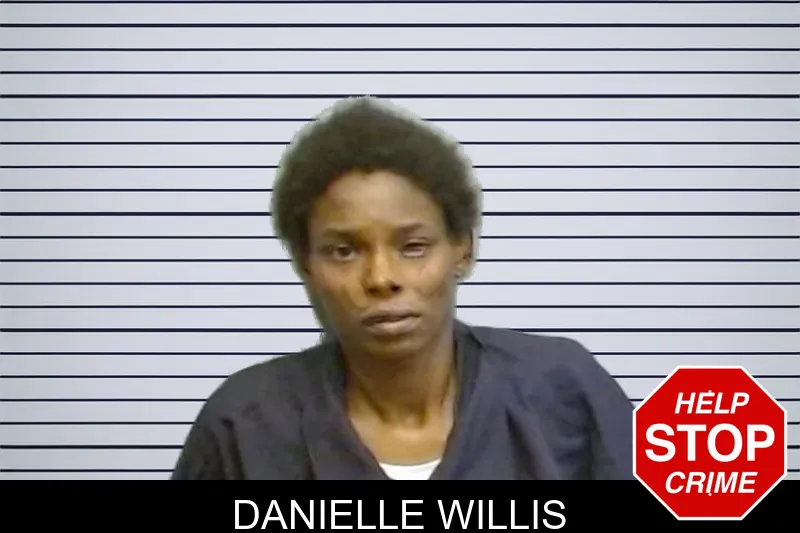 Danielle Willis mugshot