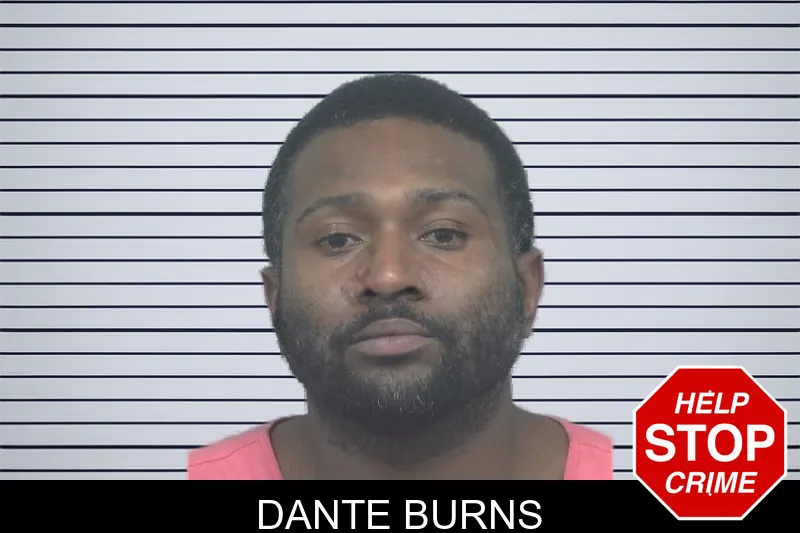 Dante Burns mugshot – Gwinnett County , Georgia Dante Burns mugshot