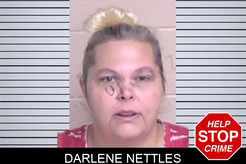 Darlene Nettles mugshot – Walker County , Georgia Darlene Nettles mugshot