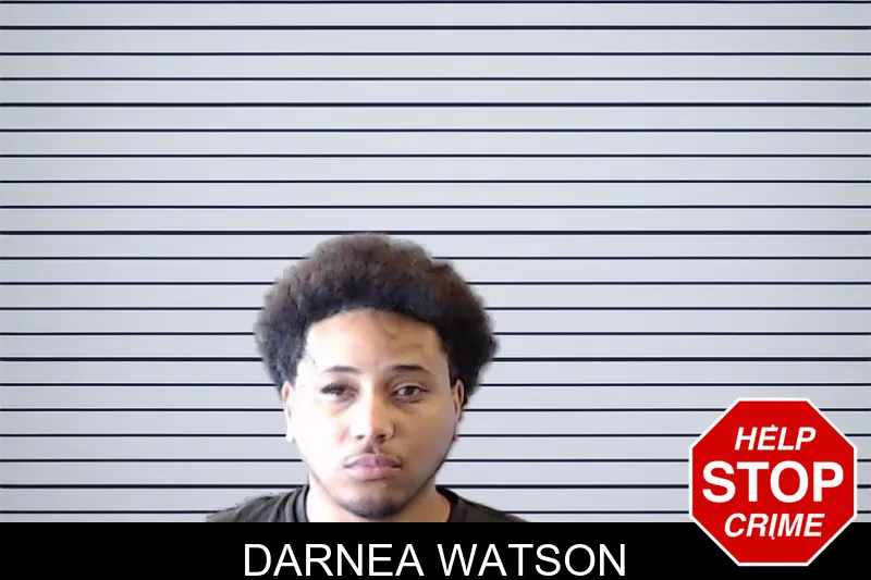 Darnea Watson mugshot – DeKalb County , Georgia Darnea Watson mugshot