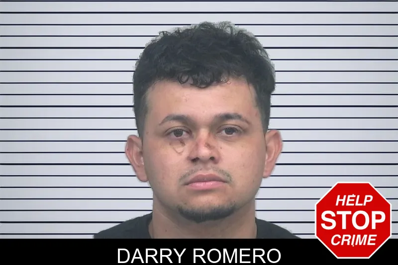 Darry Romero mugshot