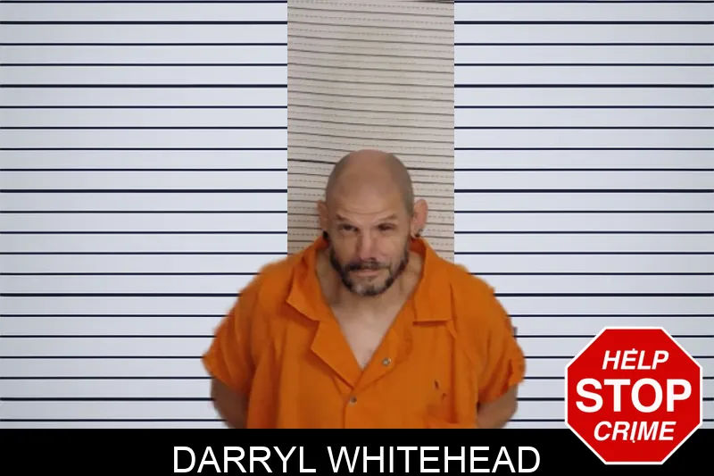 Darryl Whitehead mugshot