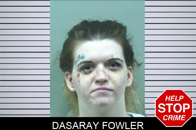 Dasaray Fowler mugshot – Bleckley County , Georgia Dasaray Fowler mugshot