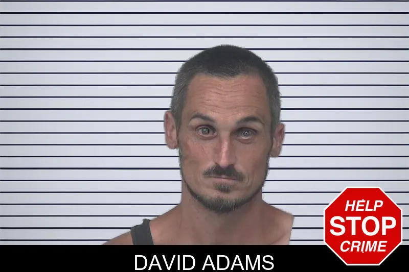 David Adams mugshot
