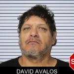 David Avalos mugshot – Hall County , Georgia David Avalos mugshot