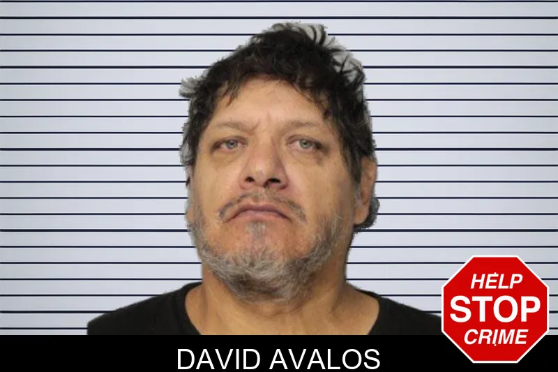 David Avalos mugshot – Hall County , Georgia David Avalos mugshot