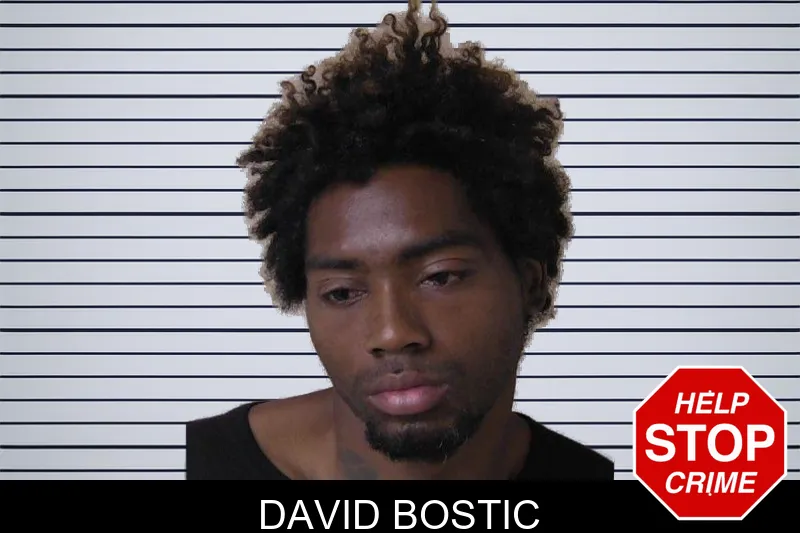 David Bostic mugshot – Walker County , Georgia David Bostic mugshot