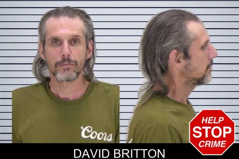 David Britton