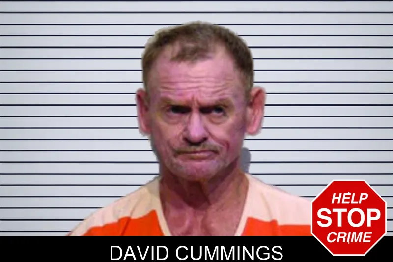 David Cummings mugshot – Bartow County , Georgia David Cummings mugshot