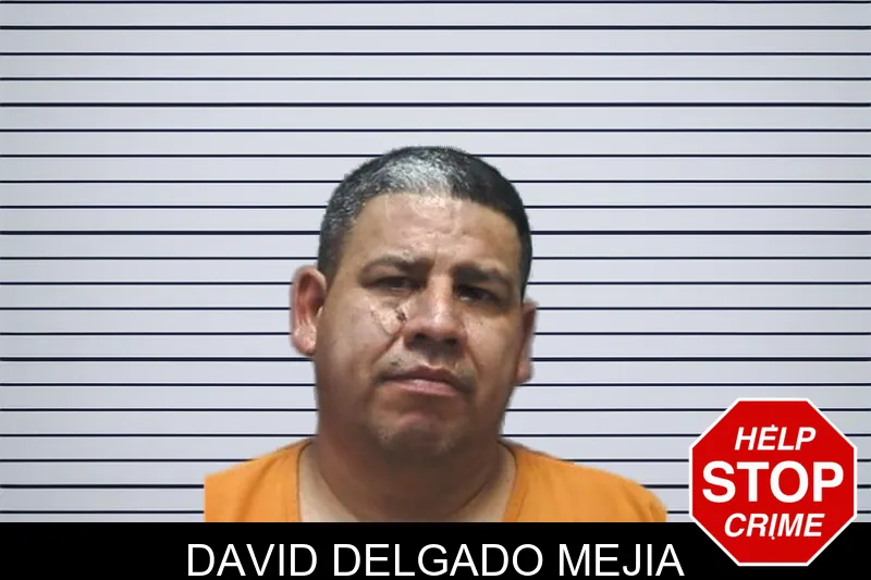 David Delgado Mejia mugshot – Cherokee County , Georgia David Delgado Mejia mugshot